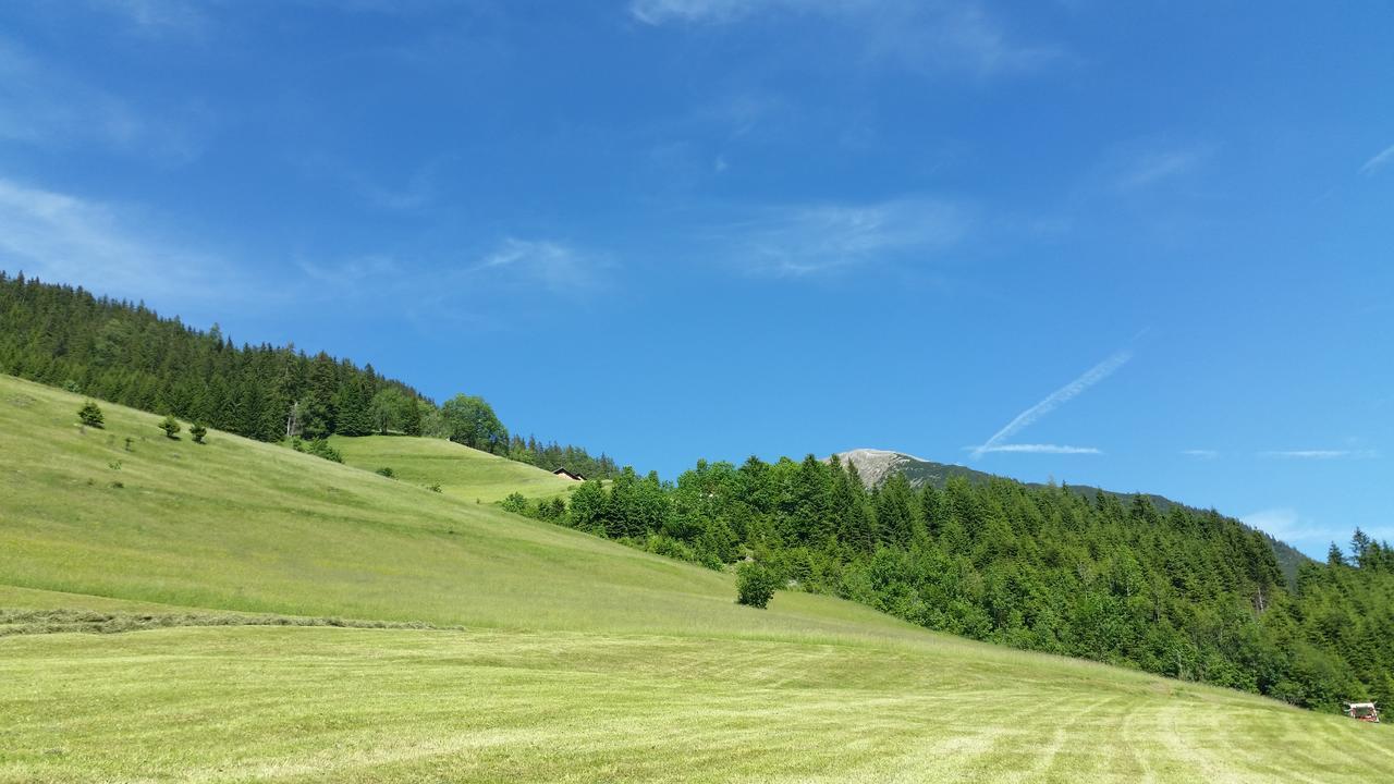 Auszeit Chalets Bschlabs エクステリア 写真
