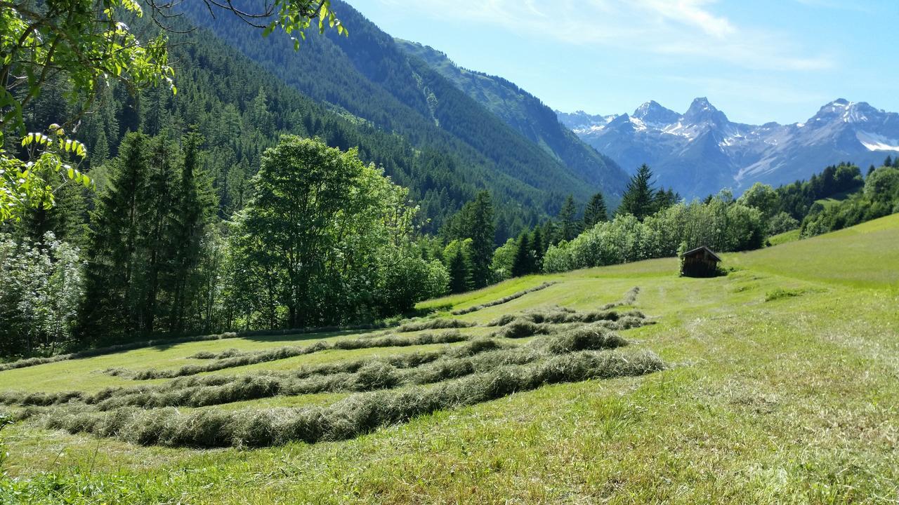 Auszeit Chalets Bschlabs エクステリア 写真