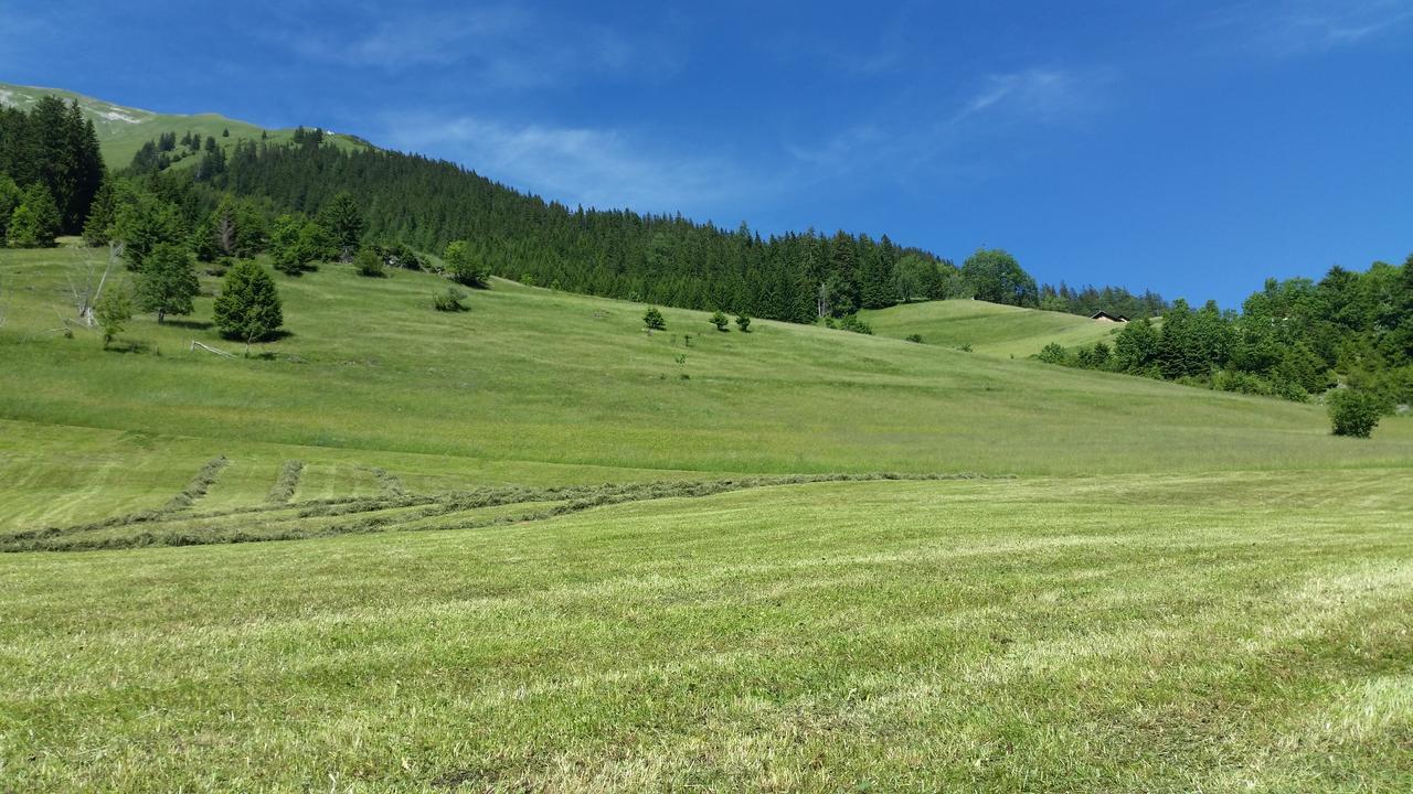 Auszeit Chalets Bschlabs エクステリア 写真