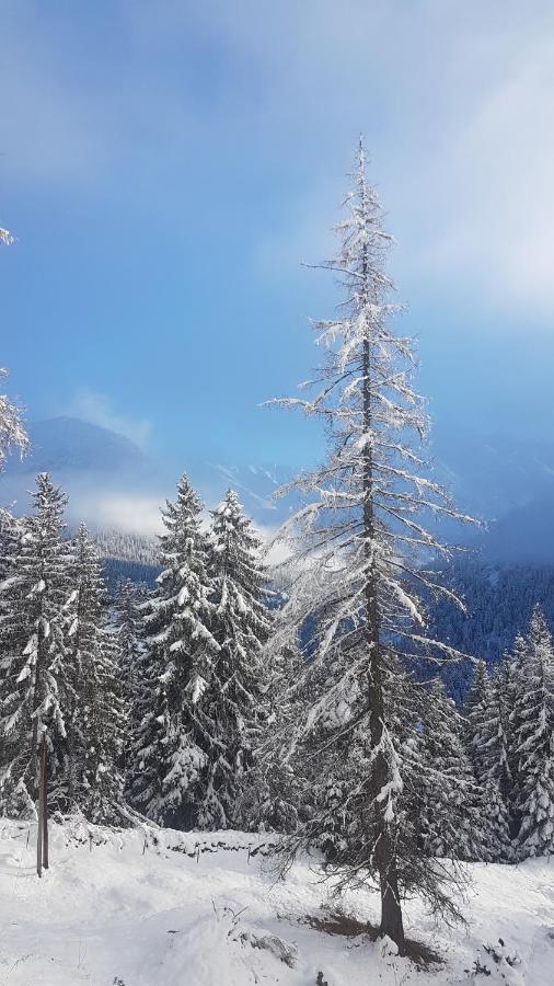 Auszeit Chalets Bschlabs エクステリア 写真